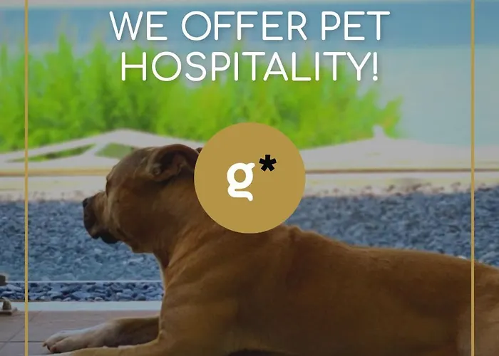 Golden Star Hotel